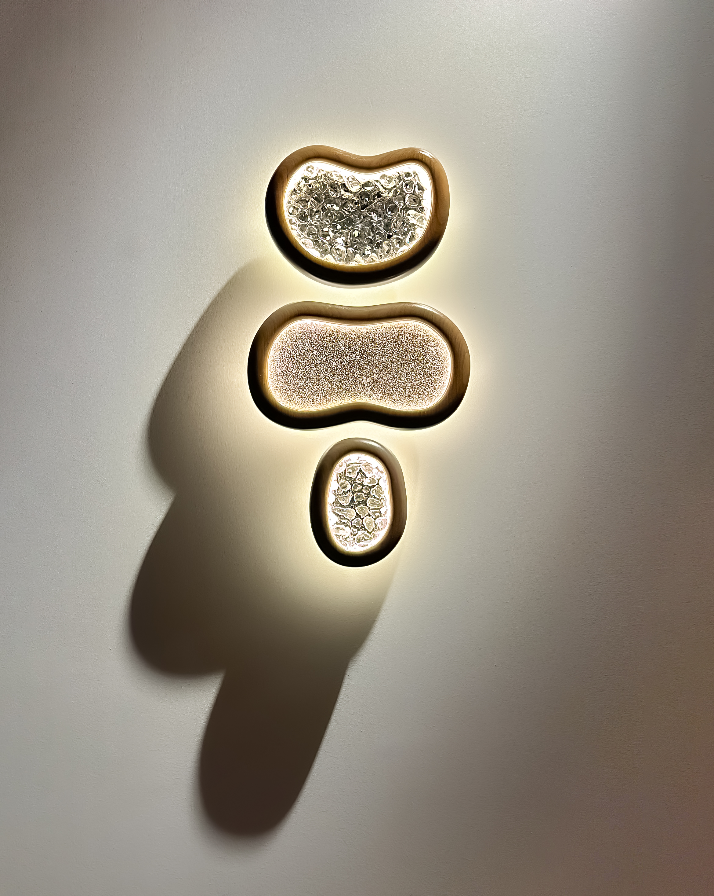 Spores cover 1