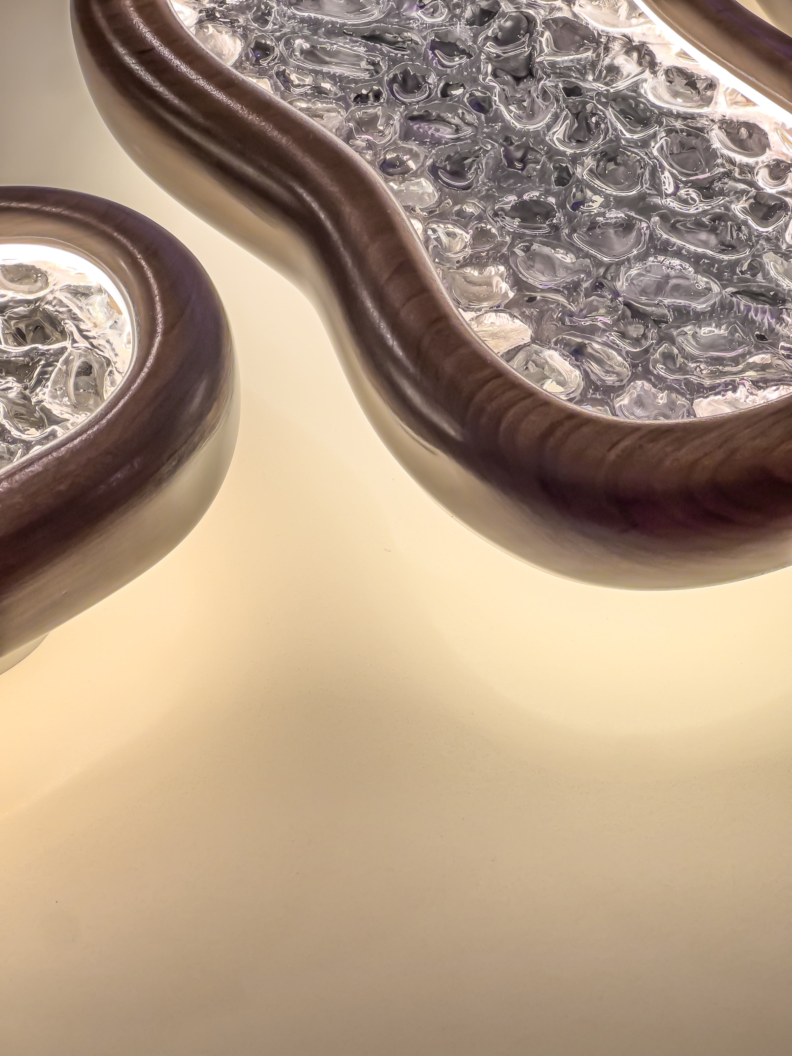 Spores cover 2