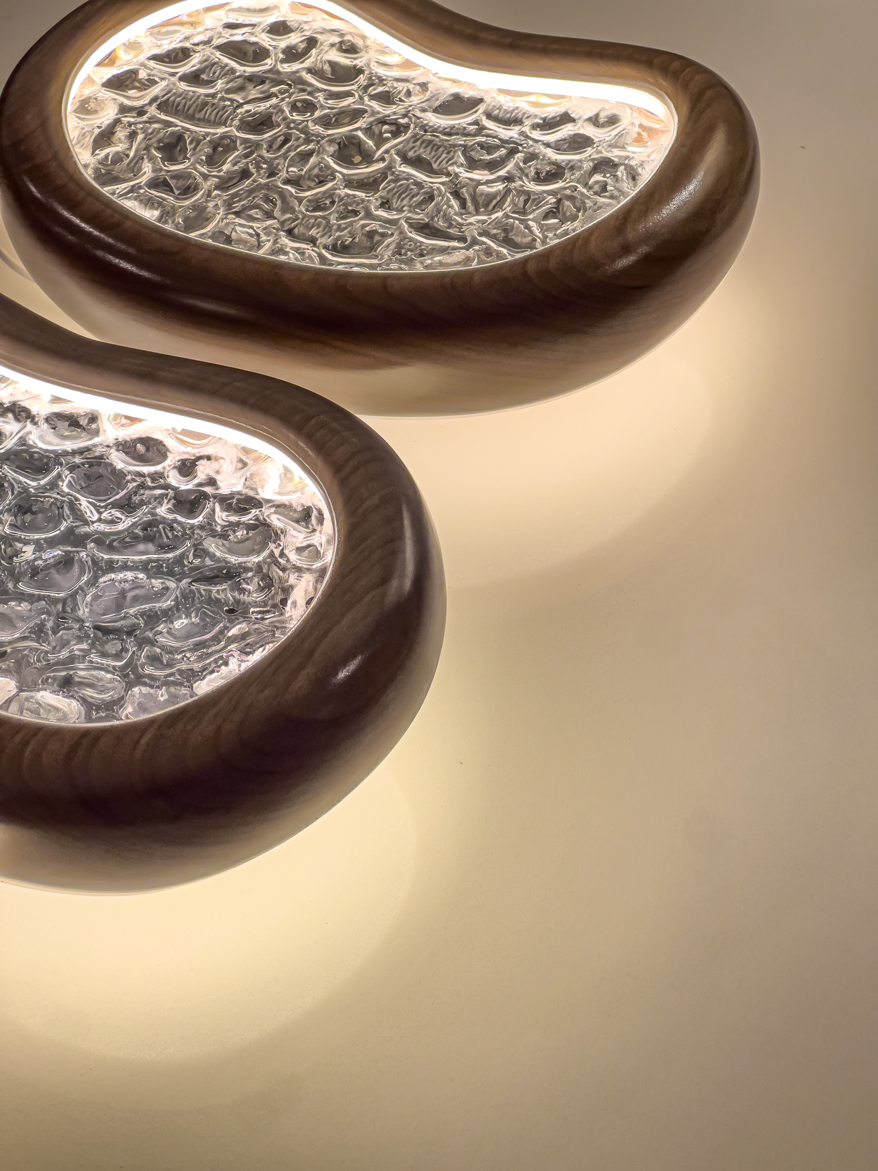 Spores cover 3
