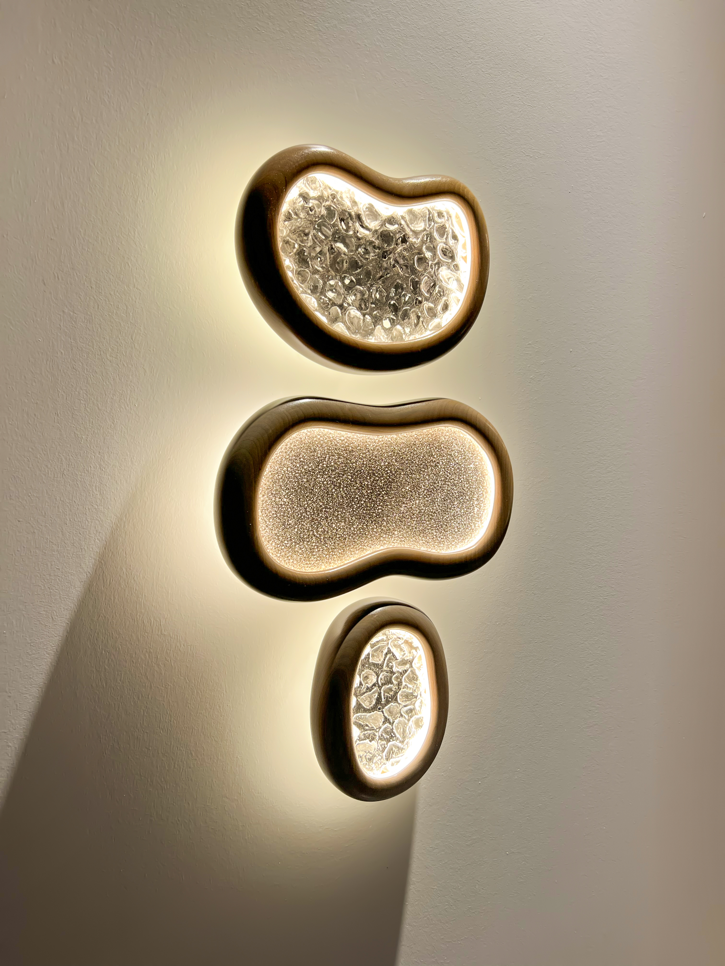 Spores cover 4